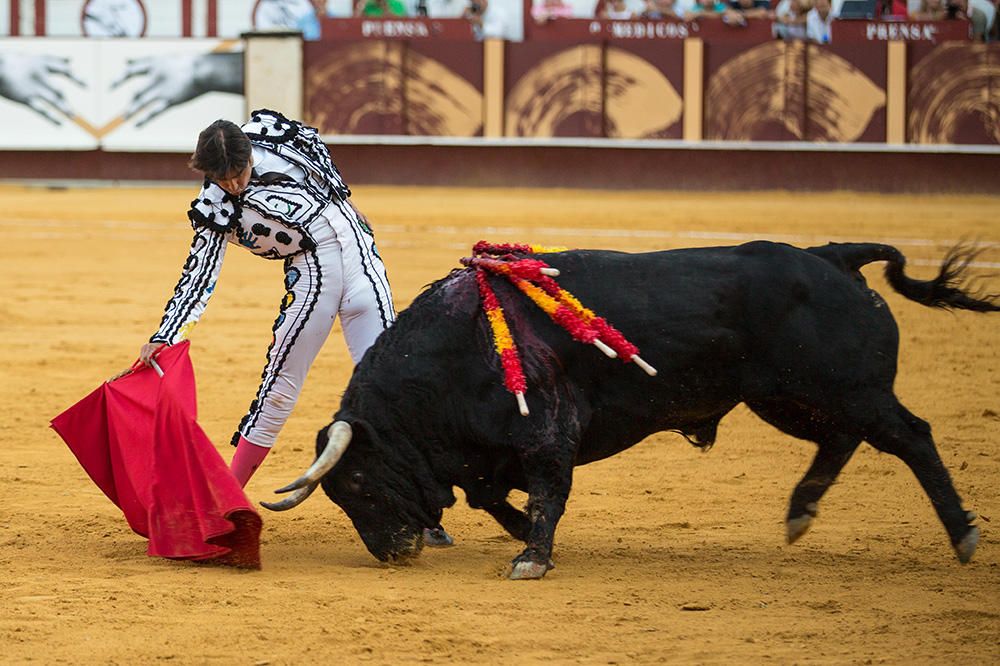 Toros | Corrida Picassiana de la Feria de Málaga