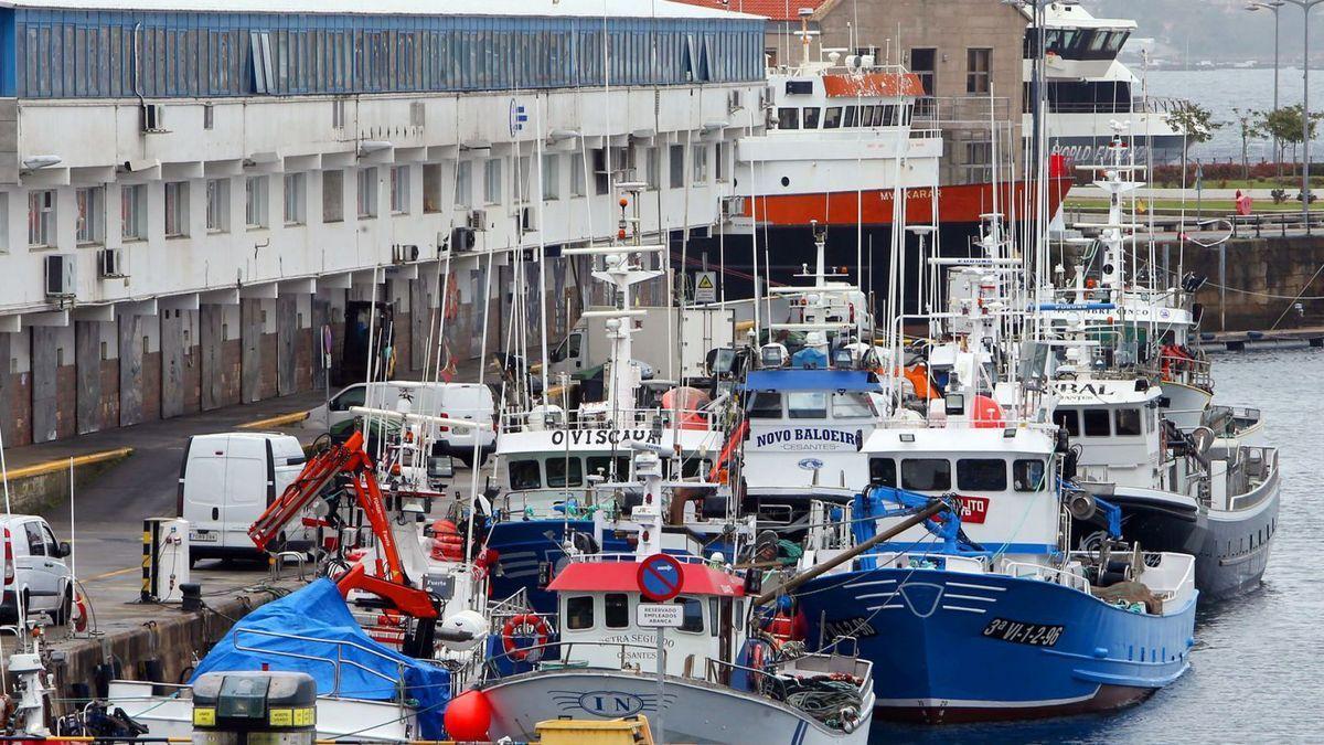 Flota cerquera, en el puerto de O Berbés en Vigo.