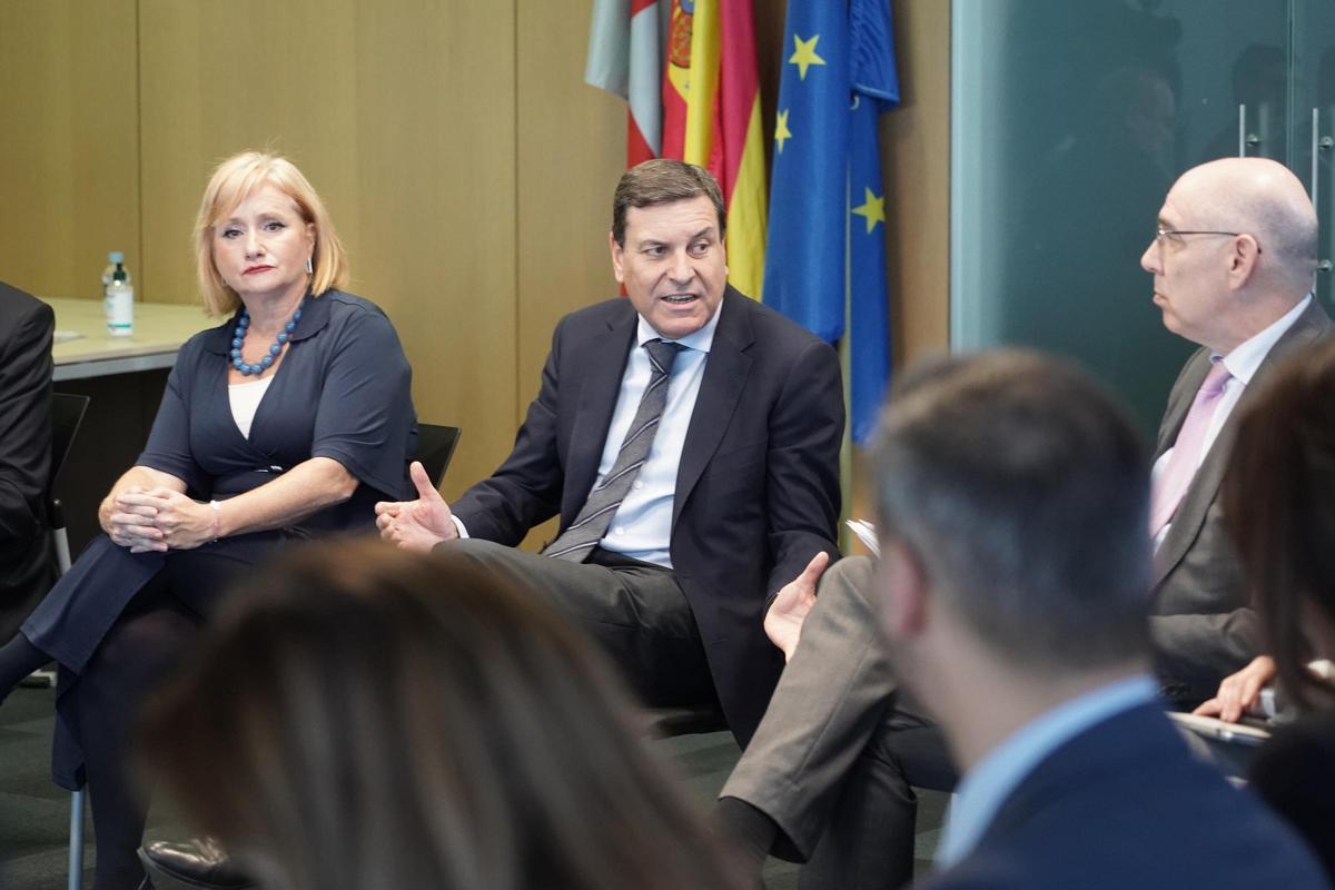 El consejero Fernández Carriedo hoy en Valladolid.