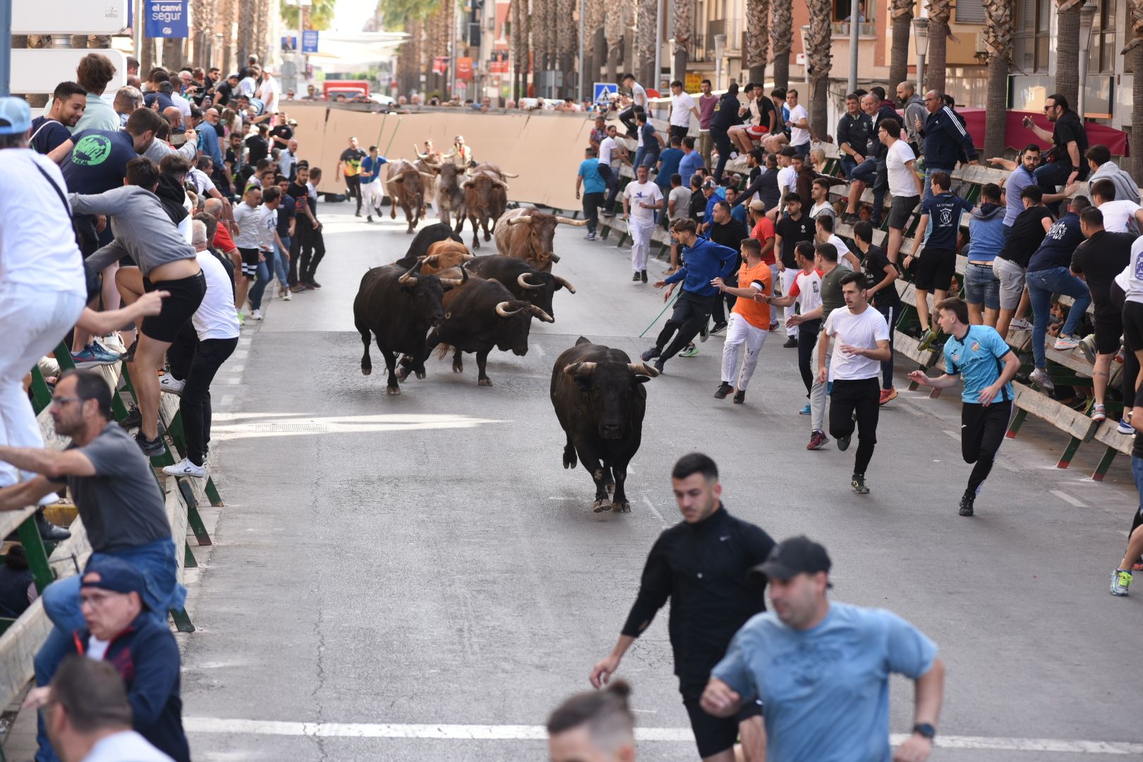 Las imágenes de la séptima jornada de las fiestas de Sant Pasqual del 2023 en Vila-real