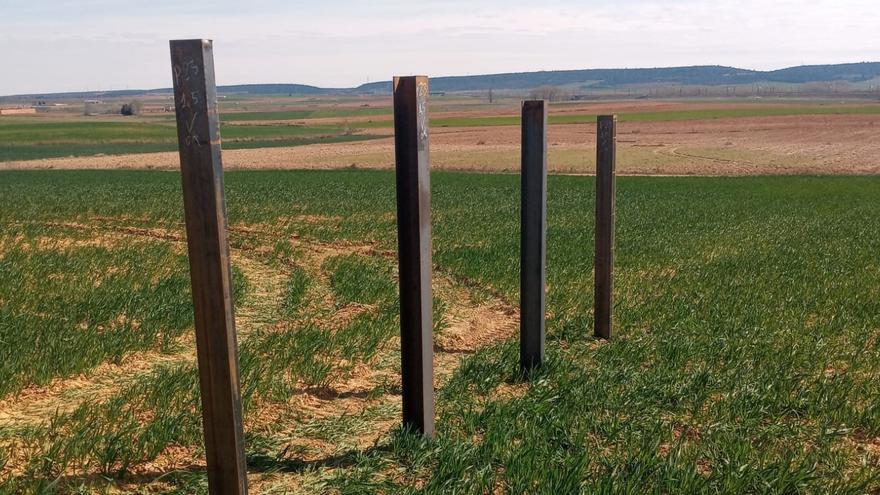 Advierten del &quot;devastador&quot; impacto de las plantas solares en Pozuelo y Moreruela de Tábara