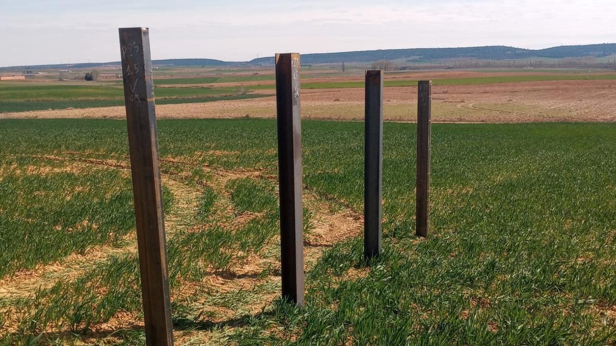 Zonas de cultivo en la comarca de Tábara