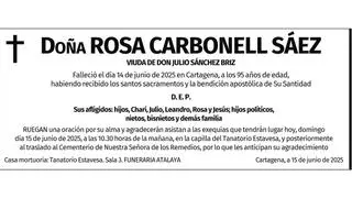 Dª Rosa Carbonell Sáez