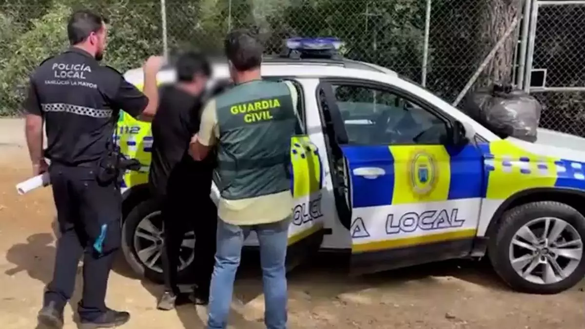 Detenida en Sevilla una mujer con 28 perros abandonados, a los que usaba para estafar