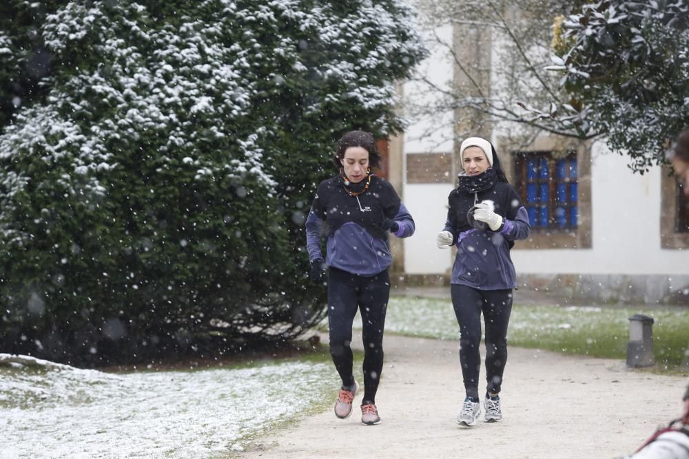 La nevada en la comarca de Avilés