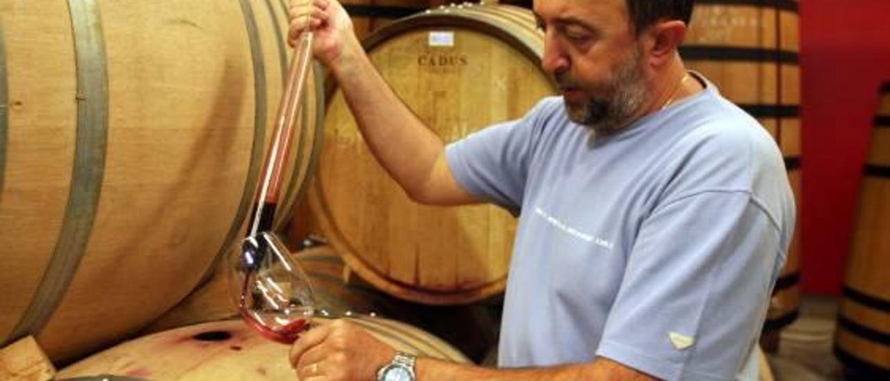 El director del Celler La Muntanya, en la bodega.