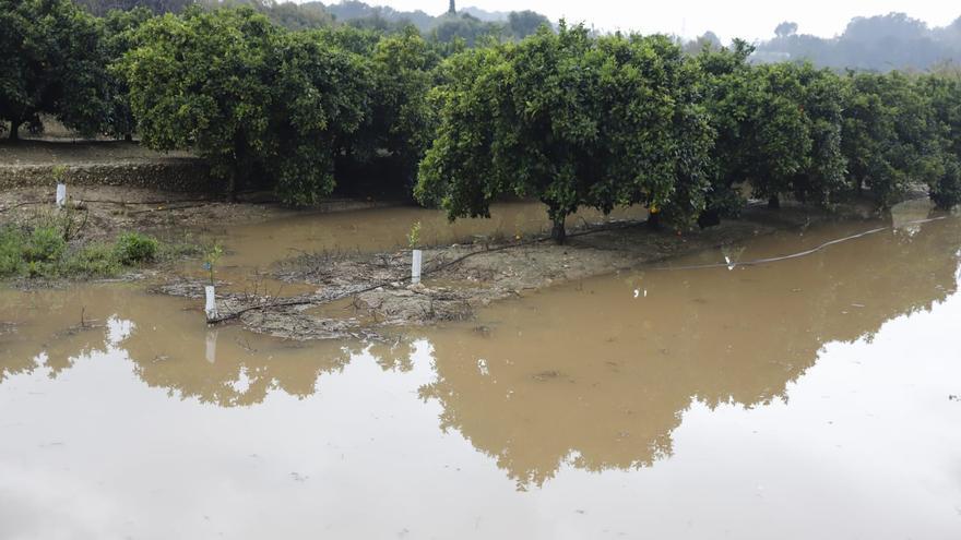 El río Albaida a su paso por la localidad de Manuel tras las últimas lluvias