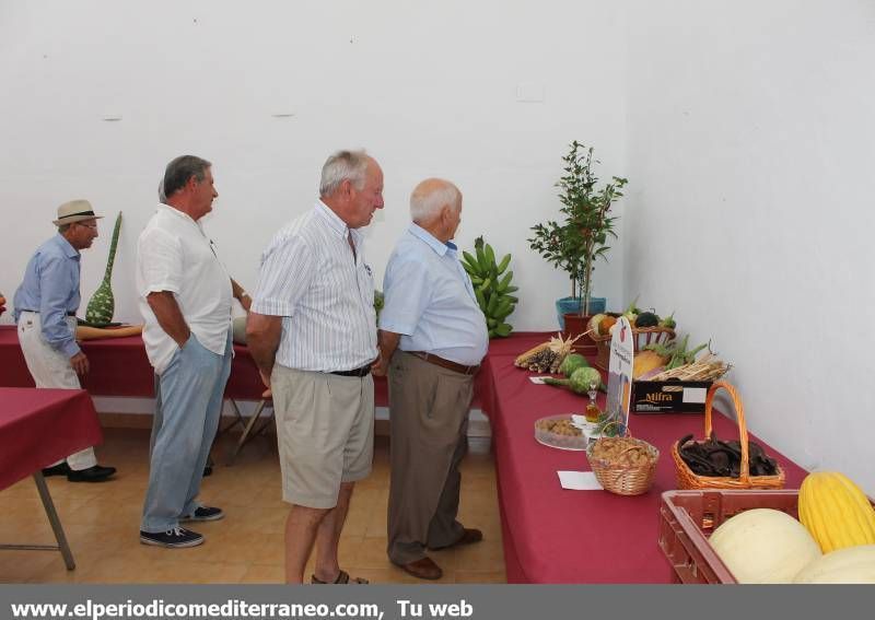 GALERÍA DE FOTOS - Tradición y novedades en la Fira Agrícola de Nules