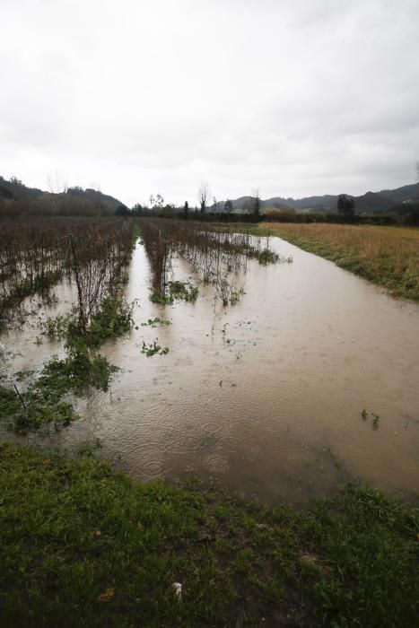 Aspecto del río Nalón a su paso por Riberas de Pravia