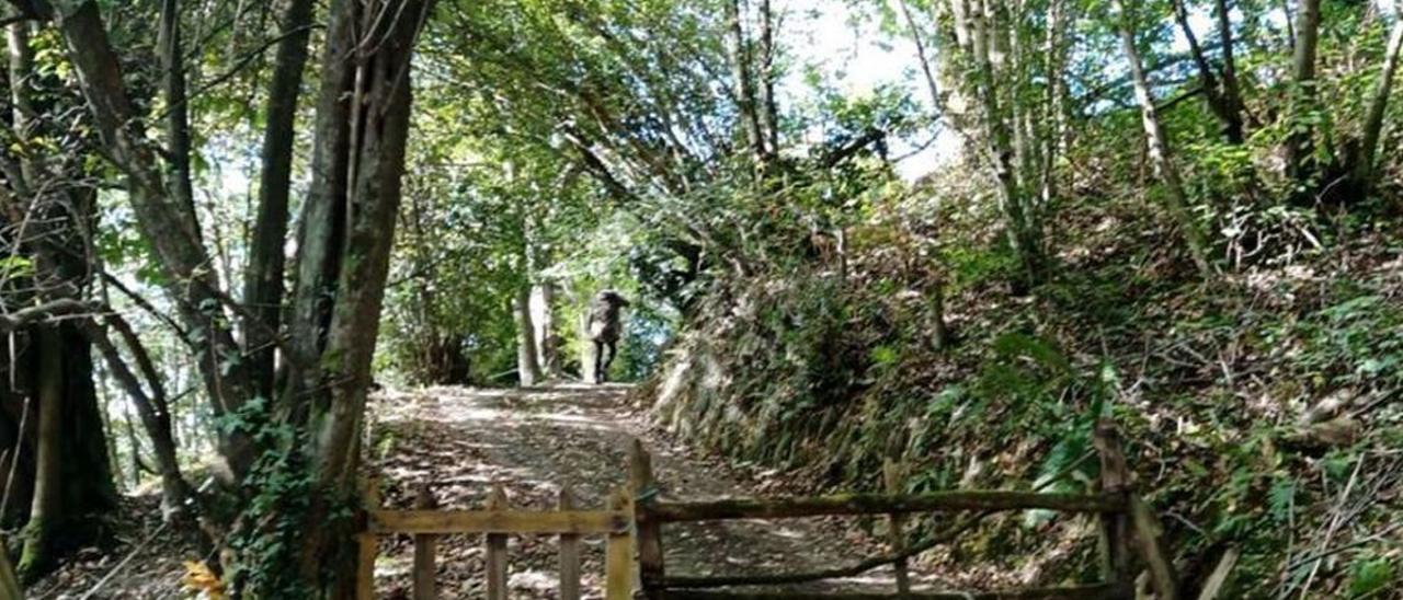 El acceso a la vivienda intervenida por la Policía Nacional, con uno de los detenidos regresando a la casa.