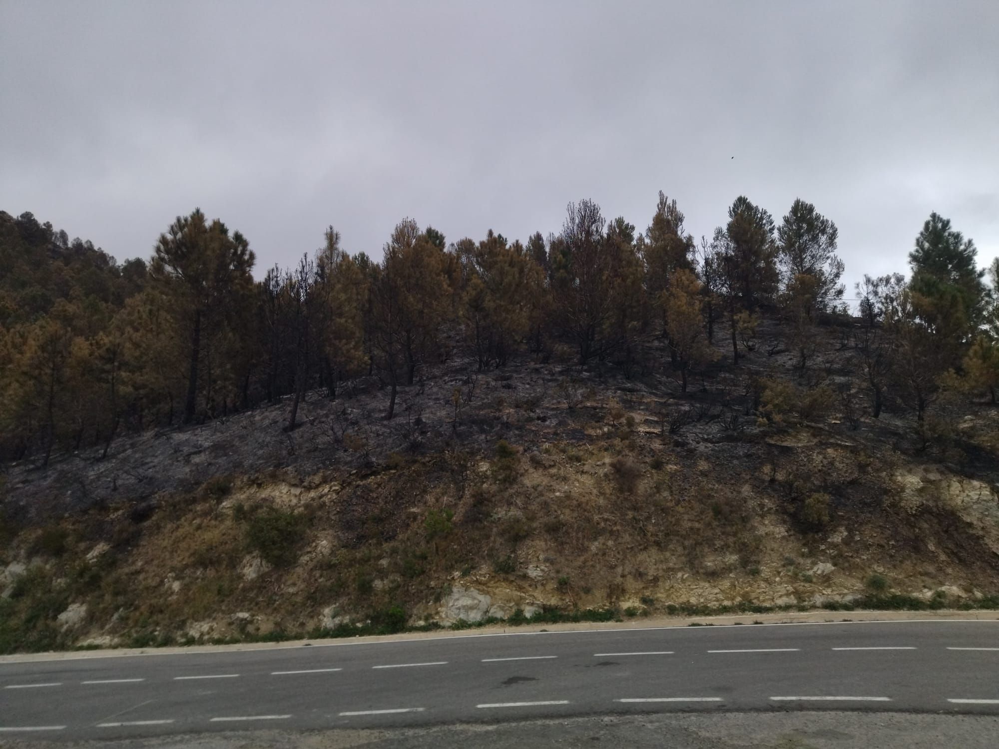 La destrucción del incendio de Tàrbena, en imágenes