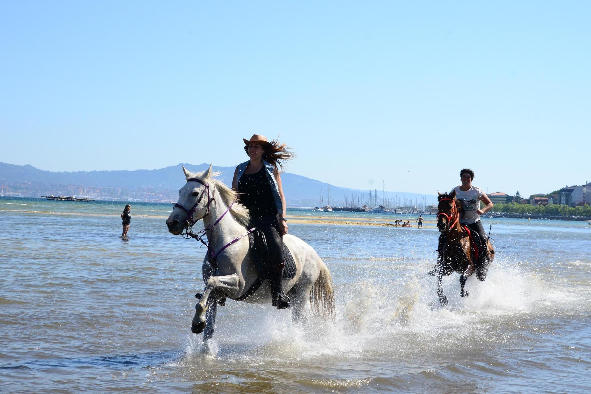 Una espectacular jornada a caballo por Moaña (I)