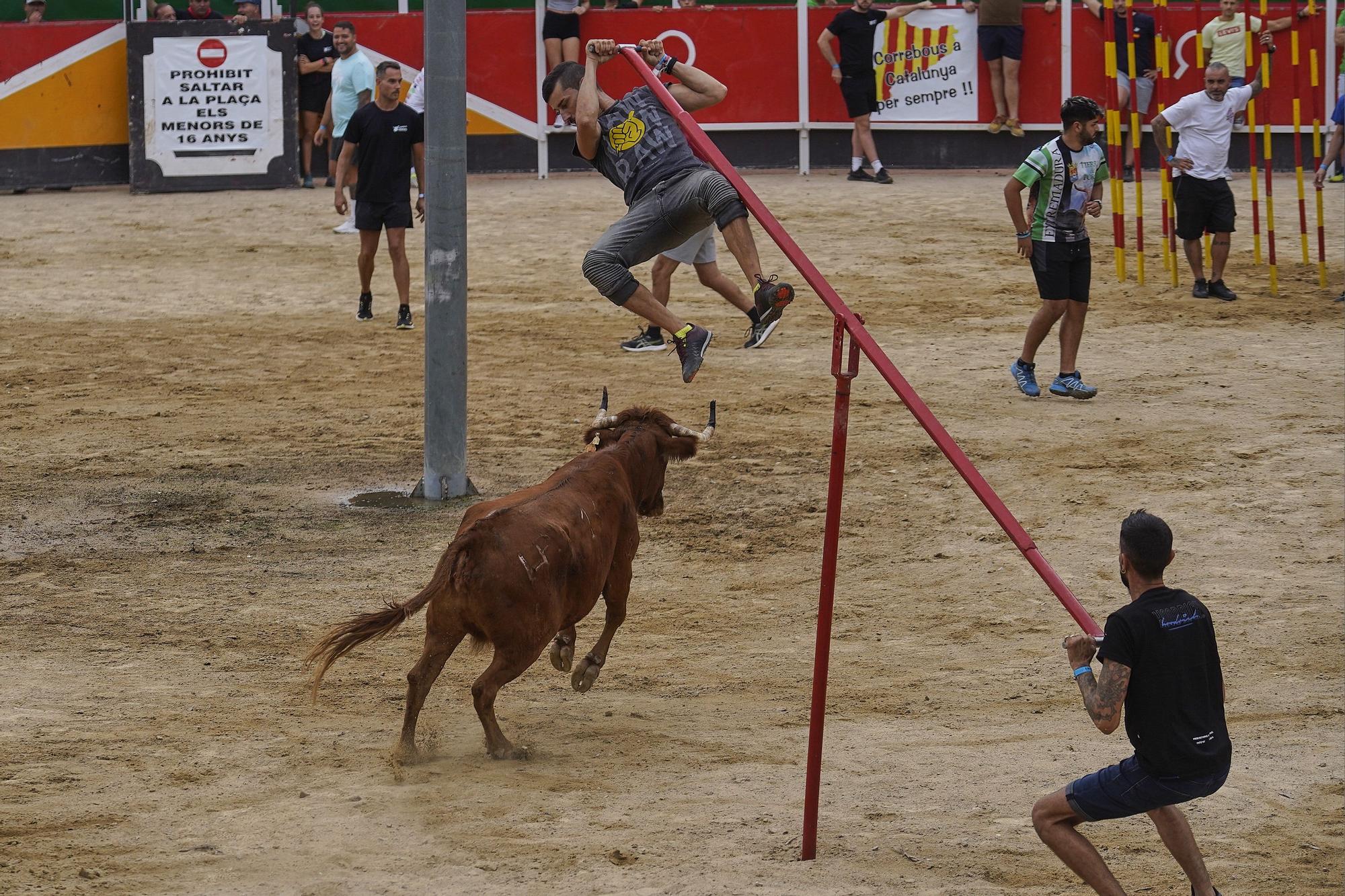 Les imatge del correbou de Vidreres