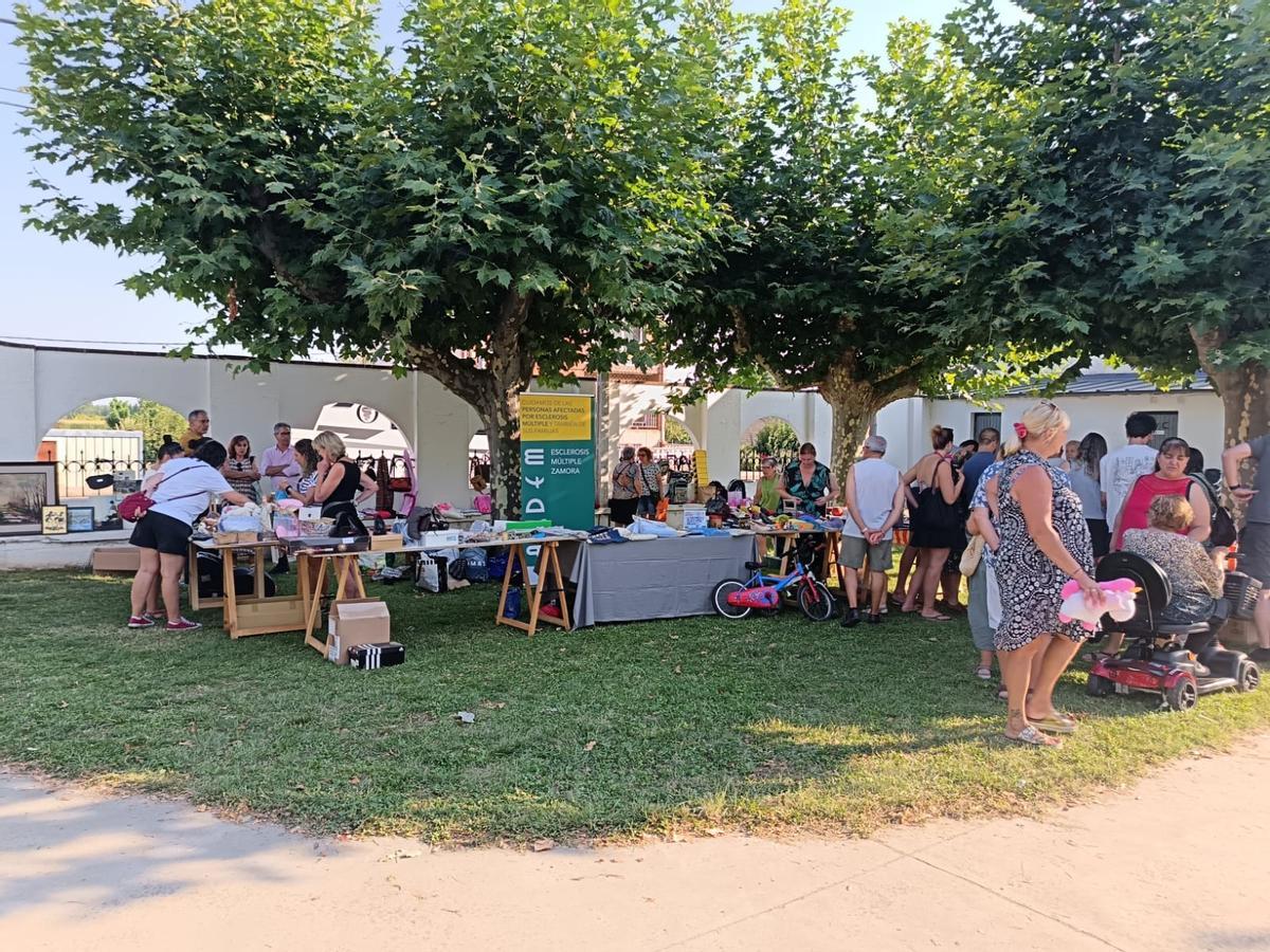 Mercadillo Solidario de Camarzana de Tera.