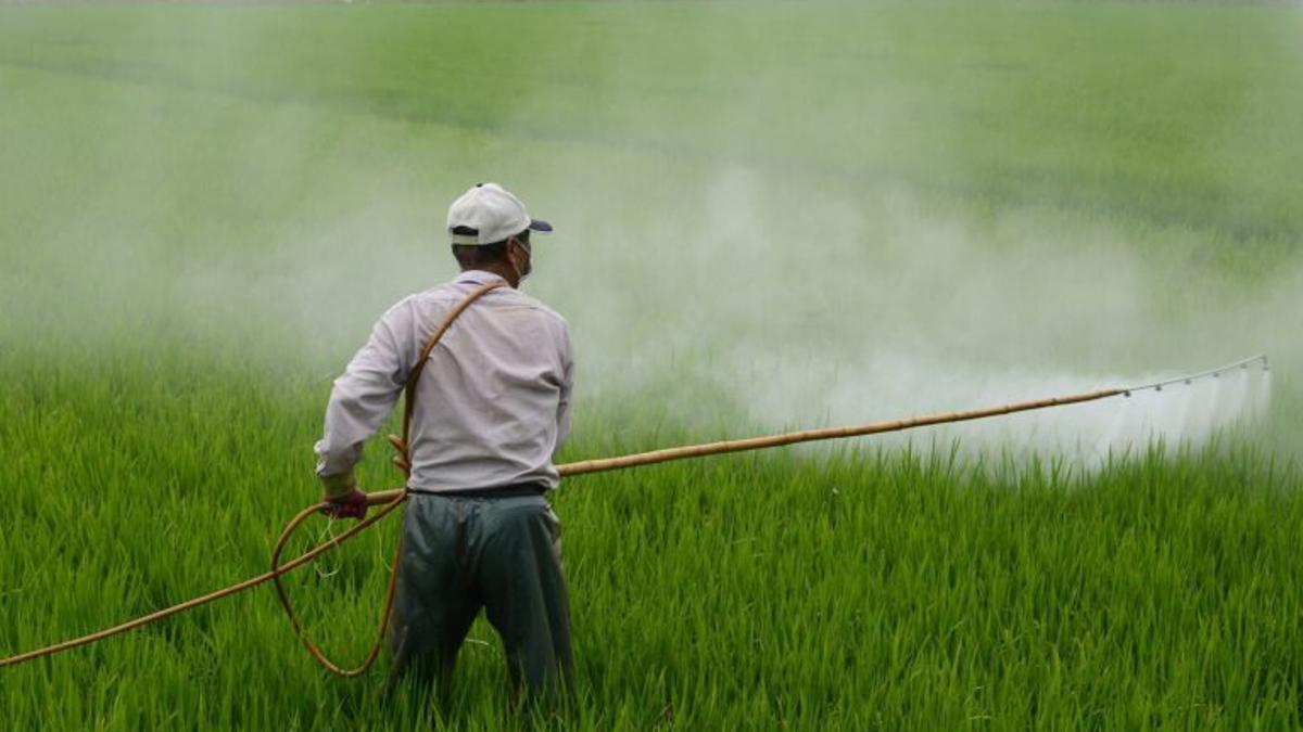 El 83% de los suelos agrícolas de España tienen restos de pesticidas