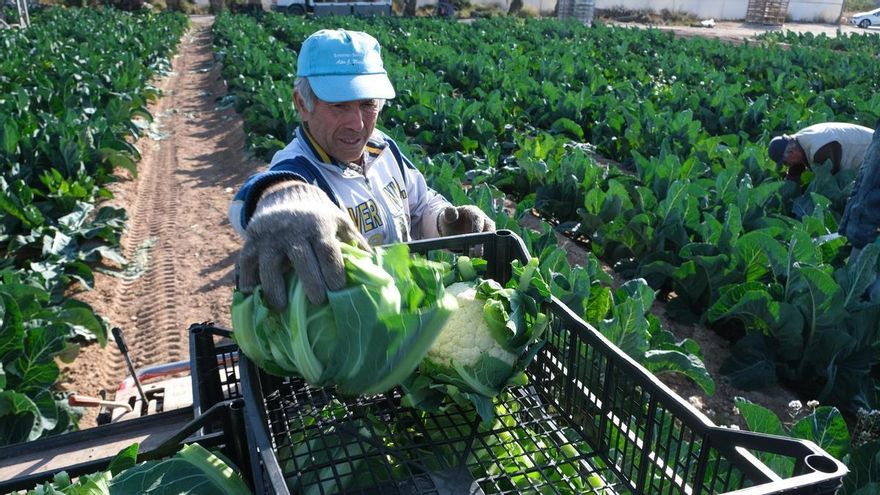 Fondos de inversión, grandes inversores y particulares intensifican su desembarco en el campo