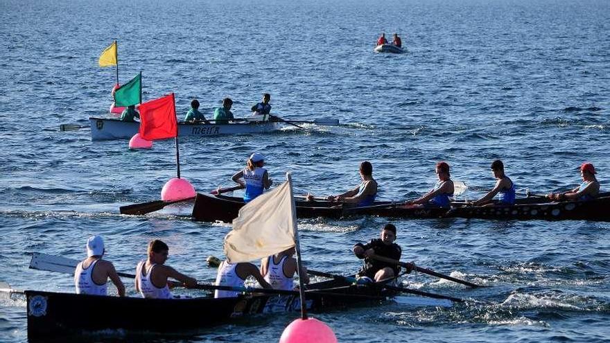 Prueba de bateles disputada en aguas de la ría de Arousa. // Iñaki Abella