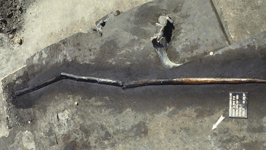 Los neandertales fabricaron armas para matar a distancia.