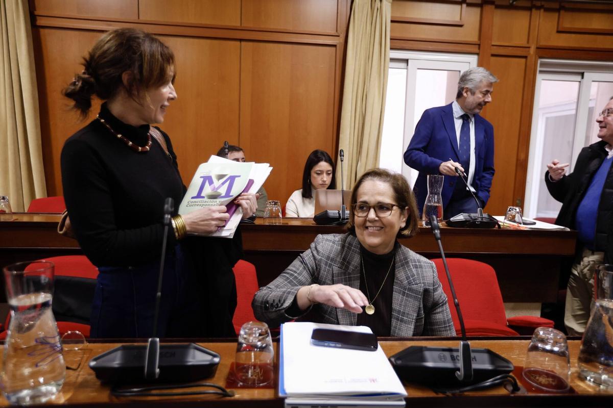 La delegada de Hacienda, Blanca Torrent, este jueves antes del pleno de febrero.