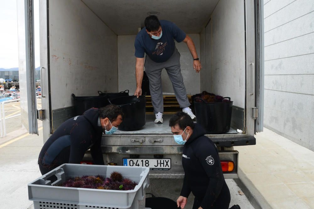 La primera jornada concluyó con unas capturas conjuntas de unos 800 kilos. / G. Núñez