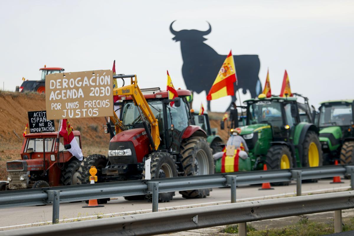 Los agricultores españoles generalizan sus protestas esta semana ante la crisis del campo.