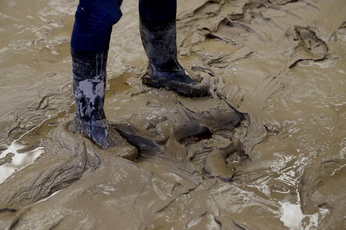 Así están las empresas de La Cartuja tras la tormenta