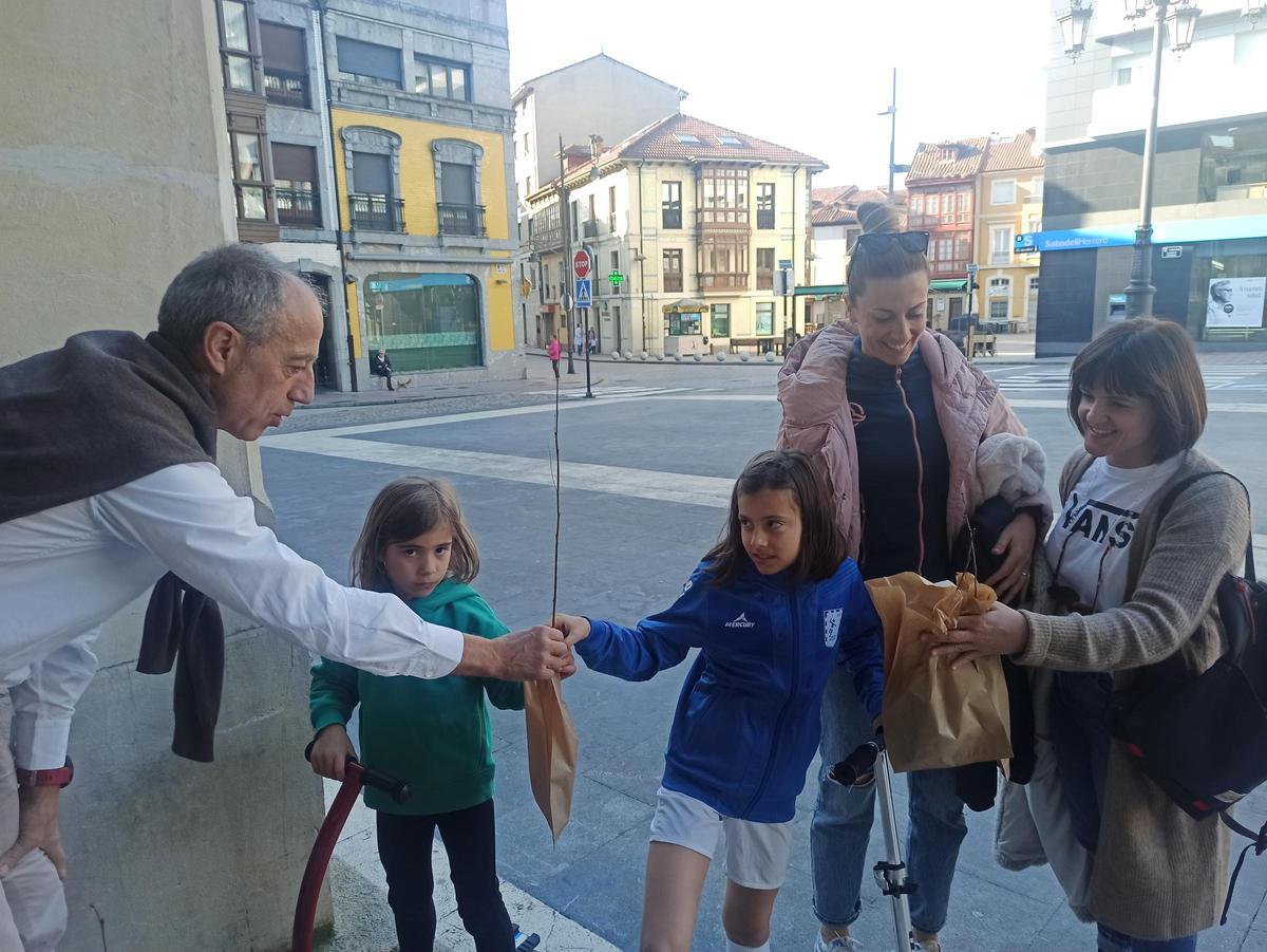 Árboles para la huerta, para cerrar una finca o para replantar en el monte en Siero: así son los usos que dan los vecinos a los plantones repartidos por el Ayuntamiento