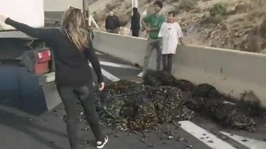 Los franceses sabotean el envío de mejillón gallego a Italia y obligan a devolverlo a batea