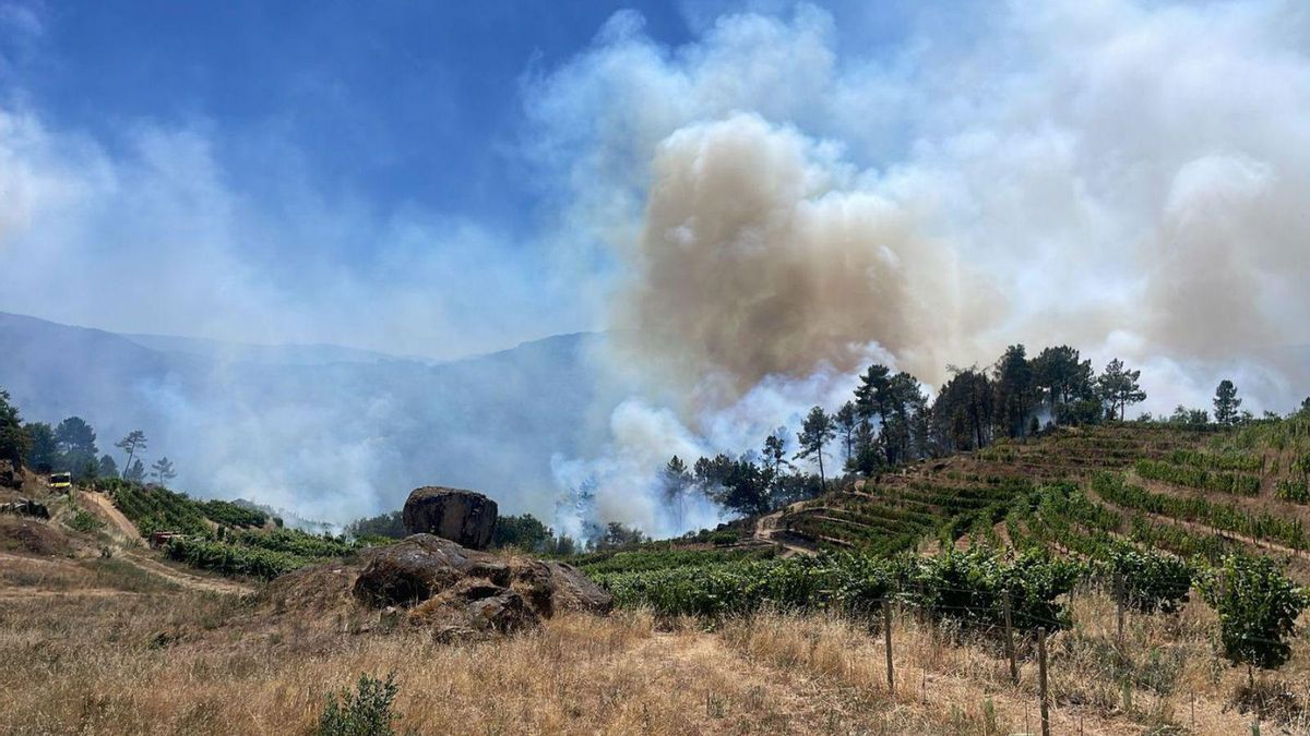 El fuego entre As Regadas (Beade) y A Veiga (Carballeda), en un entorno forestal y de viñas. |  A. Ferro