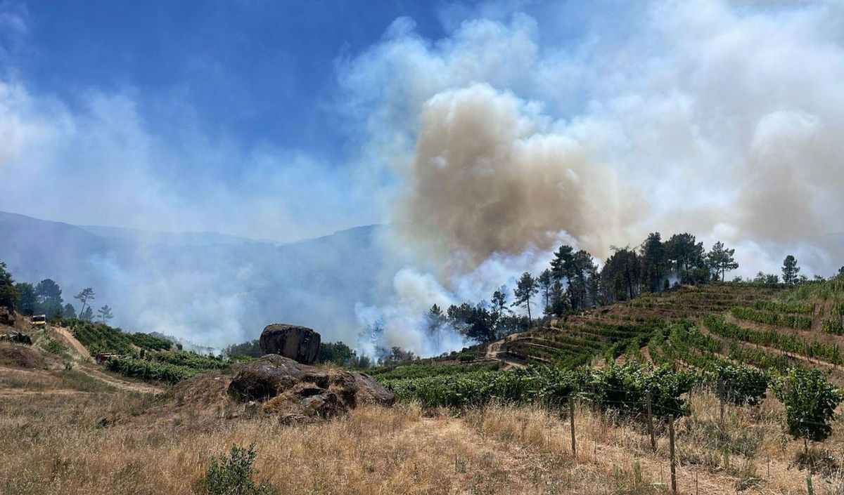 El fuego entre As Regadas (Beade) y A Veiga (Carballeda), en un entorno forestal y de viñas. | A. Ferro