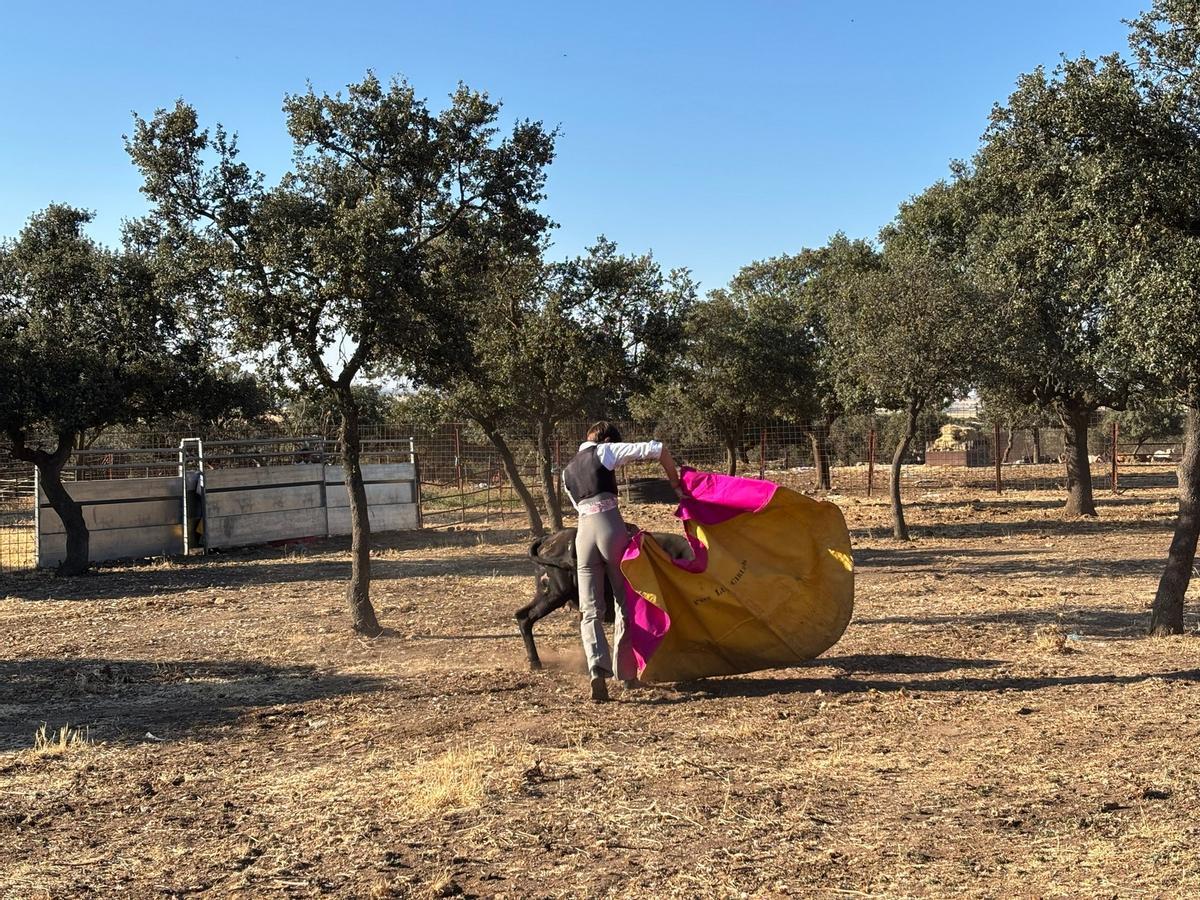 GALERÍA | Alumnos de la Escuela Taurina de Navas del Rey participan en una retienta en la ganadería Toros Villalpando