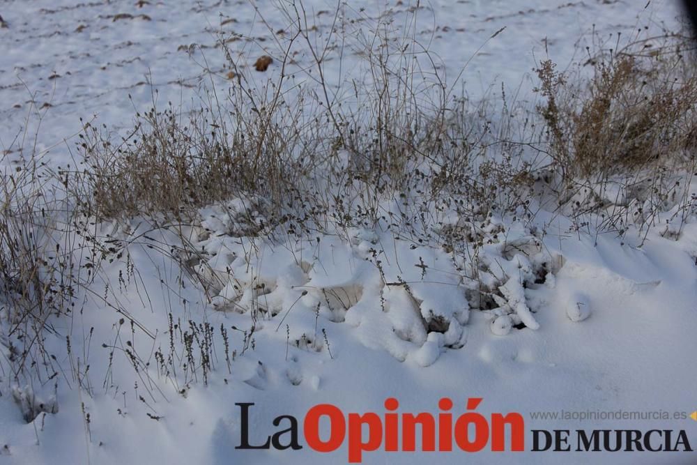 La nieve llega a las pedanías de la comarca del No