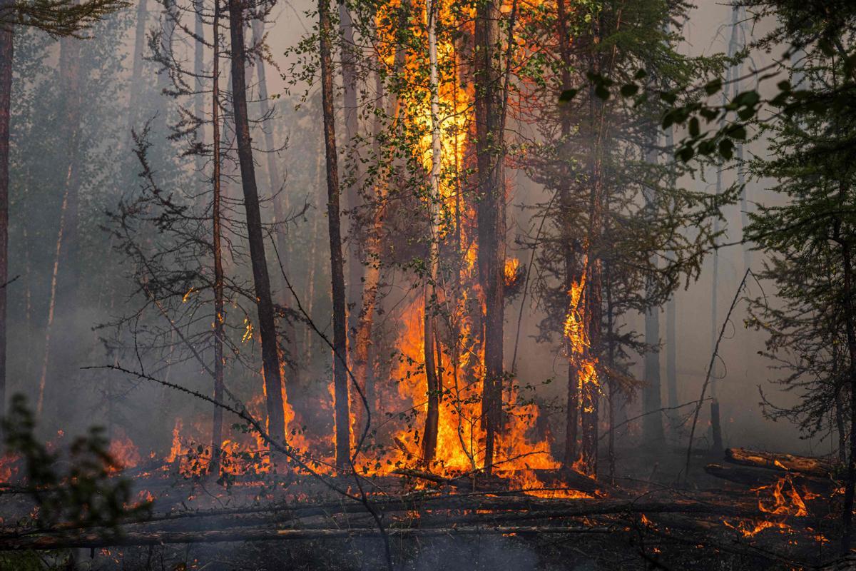 Incendios en la taiga de Siberia