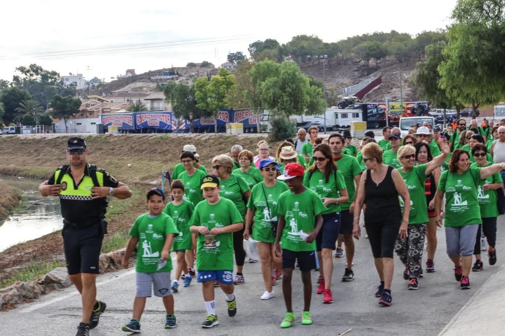 Ruta por la huerta tradicional en Rojales