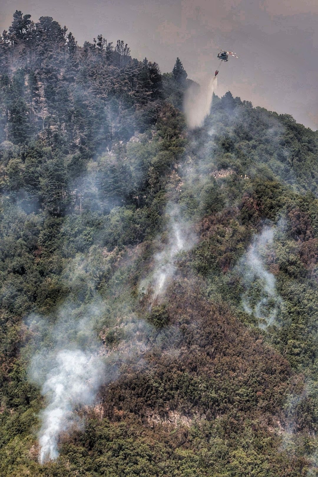 Labores de extinción del incendio en Tigaiga, Tenerife (26/07/2022)