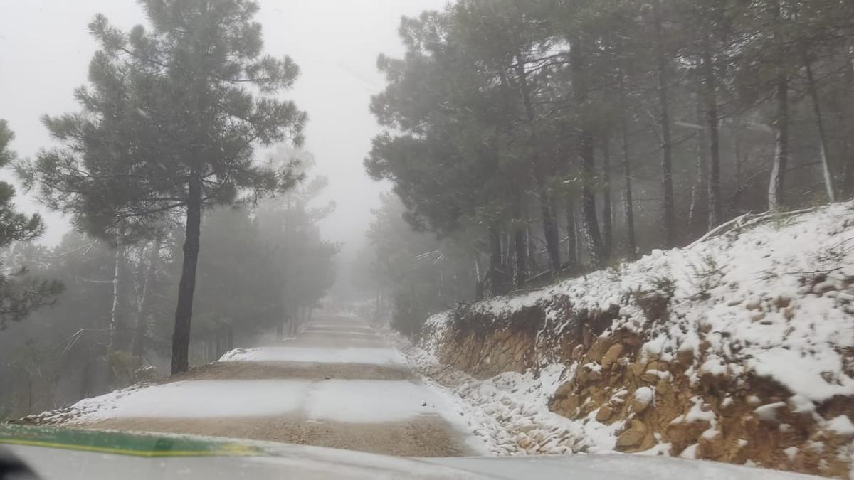 Nieva en Sierra Espuña en pleno mes de abril