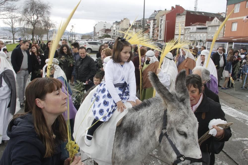 Semana Santa 2016 en Morrazo | Una mula, centro de todas las miradas en el Domingo de Ramos de Moaña