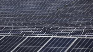 Imagen de archivo de paneles solares en Francia. EFE/EPA/SEBASTIEN NOGIER