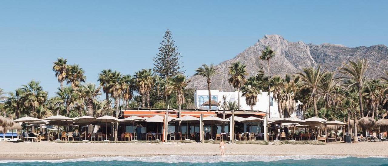 Trocadero Playa abrirá de nuevo tras ser devastado por el temporal de levante el pasado mes de abril.