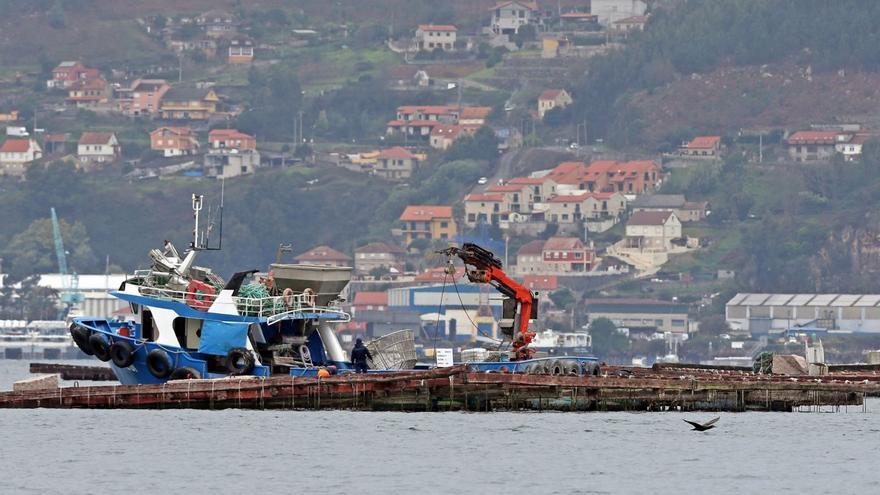 La marea roja mantiene en vilo al sector conservero y reduce la producción fabril