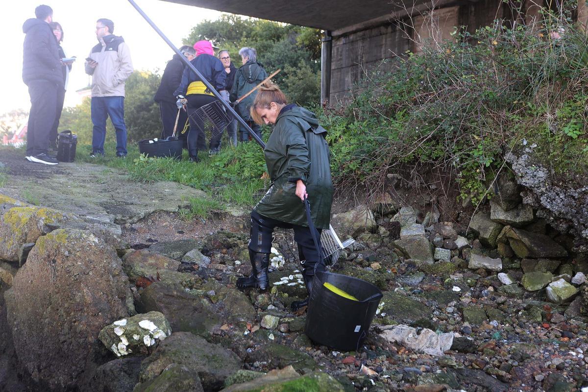Los mariscadores a pie de la ría de O Burgo vuelven a faenar tras casi cuatro años de espera Los mariscadores a pie de la ría de O Burgo vuelven a faenar tras casi cuatro años de espera
