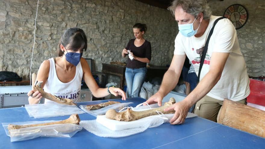 Diversos arqueòlegs analitzant ossos trobats a la cova del Toll de Moià