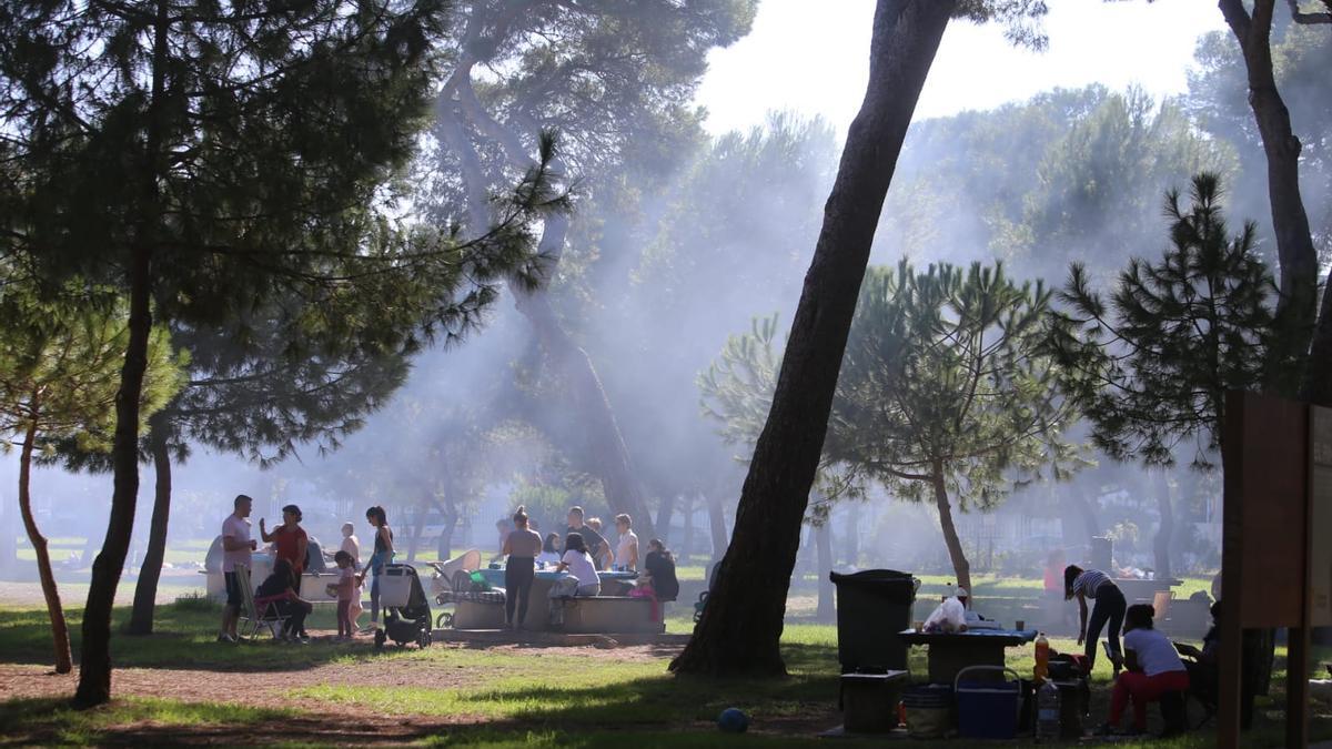 Imagen de castellonenses aprovechando el festivo para realizar un picnic en El Pinar del Grau de Castelló.