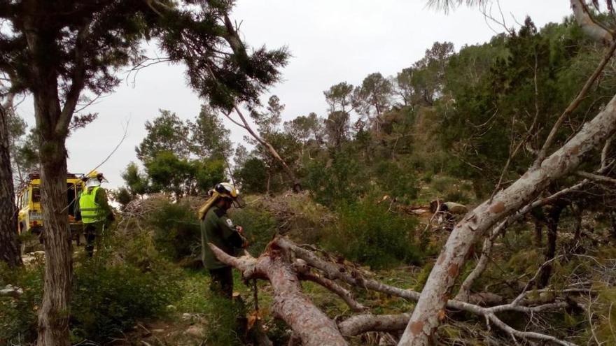 El Govern da por finalizadas las tareas prioritarias de restauración ambiental tras la Dana de Sant Antoni