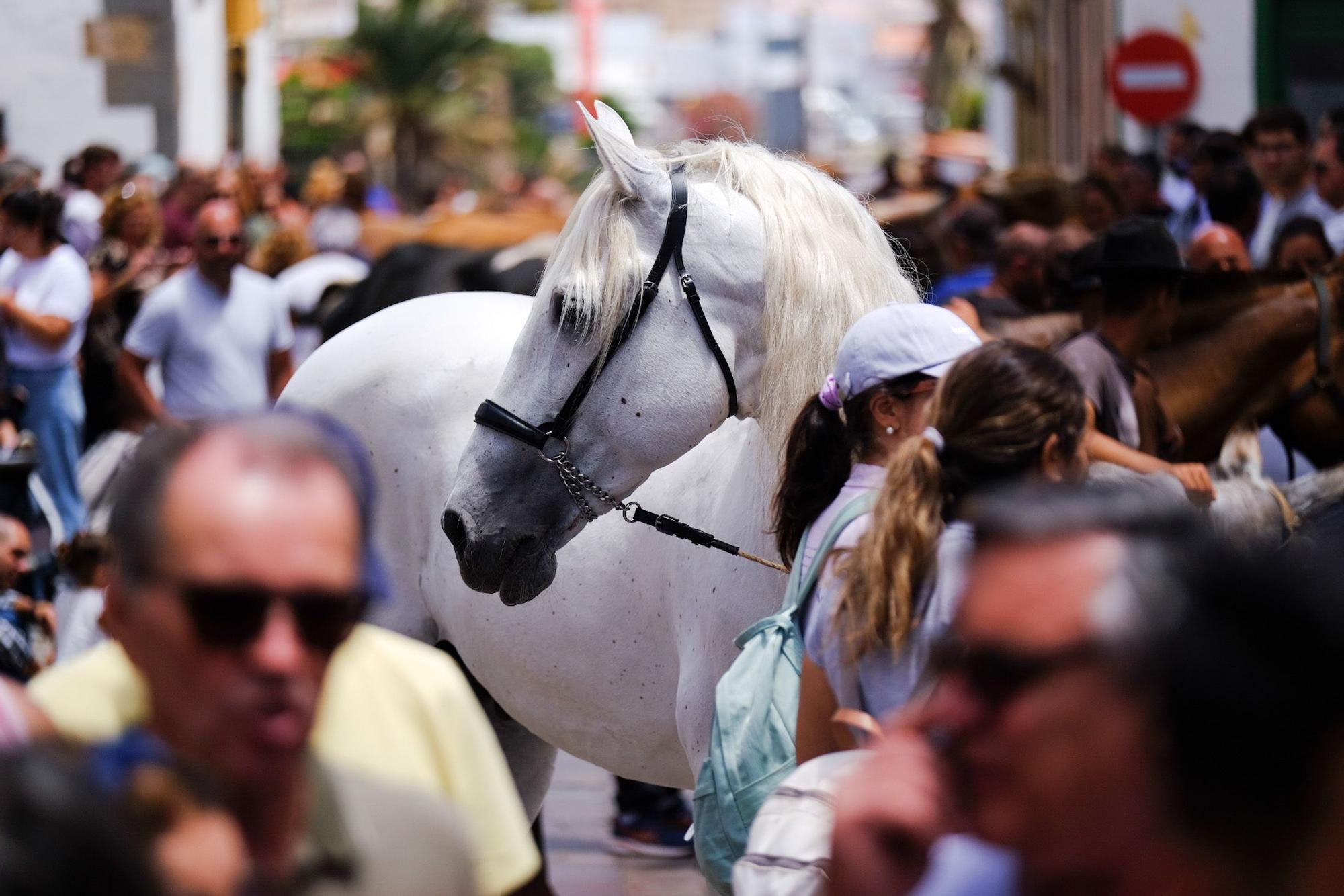 Fiesta de San Juan en Telde