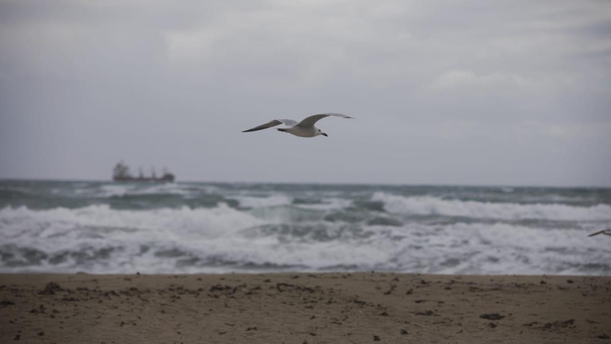 Baleares, en aviso naranja este miércoles por viento, tormentas y oleaje