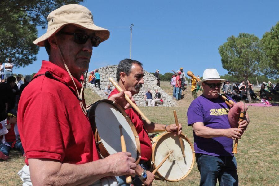 Romería de Valderrey en Zamora