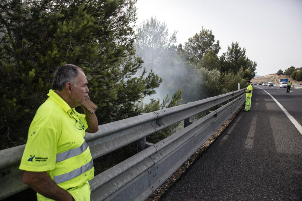 Alarma por un incendio forestal junto a la autopista de Llucmajor