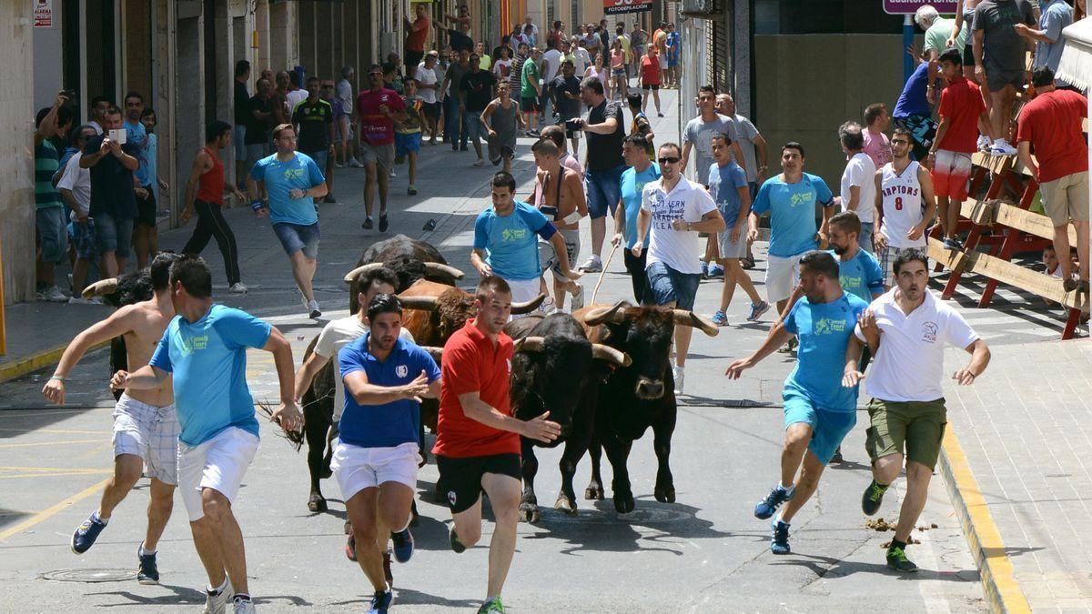 Un festejo de &#039;bous al carrer&#039; en Paiporta.