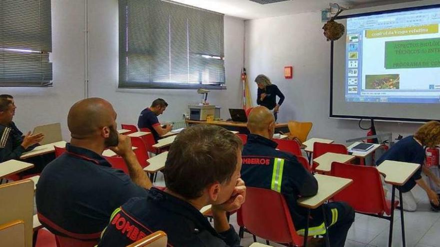 Charla para los bomberos sobre la Vespa velutina